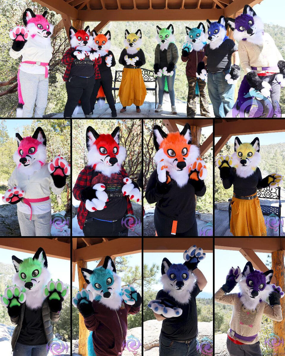 Rainbow Foxes